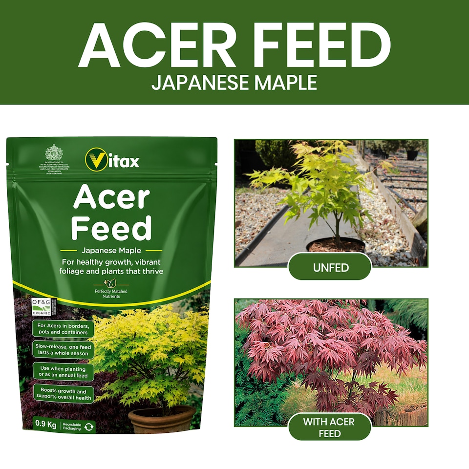 image 1 of Vitax Acer Feed Japanese Maple Tree Organic Plant Feed Healthy Growth Vibrant Foliage 0.9kg Pack of 2