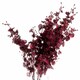 image 2 of Deep Orchid Spray Artificial Flower (Single Stem) - L20 x W20 x H91 cm - Burgundy