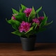 image 3 of 18cm Artificial Freesia Plant Dark Pink Flowering