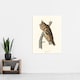 image 4 of Birds Of America Long Eared Owl Audubon Nature Huge Wall Art Poster Print 24X32"