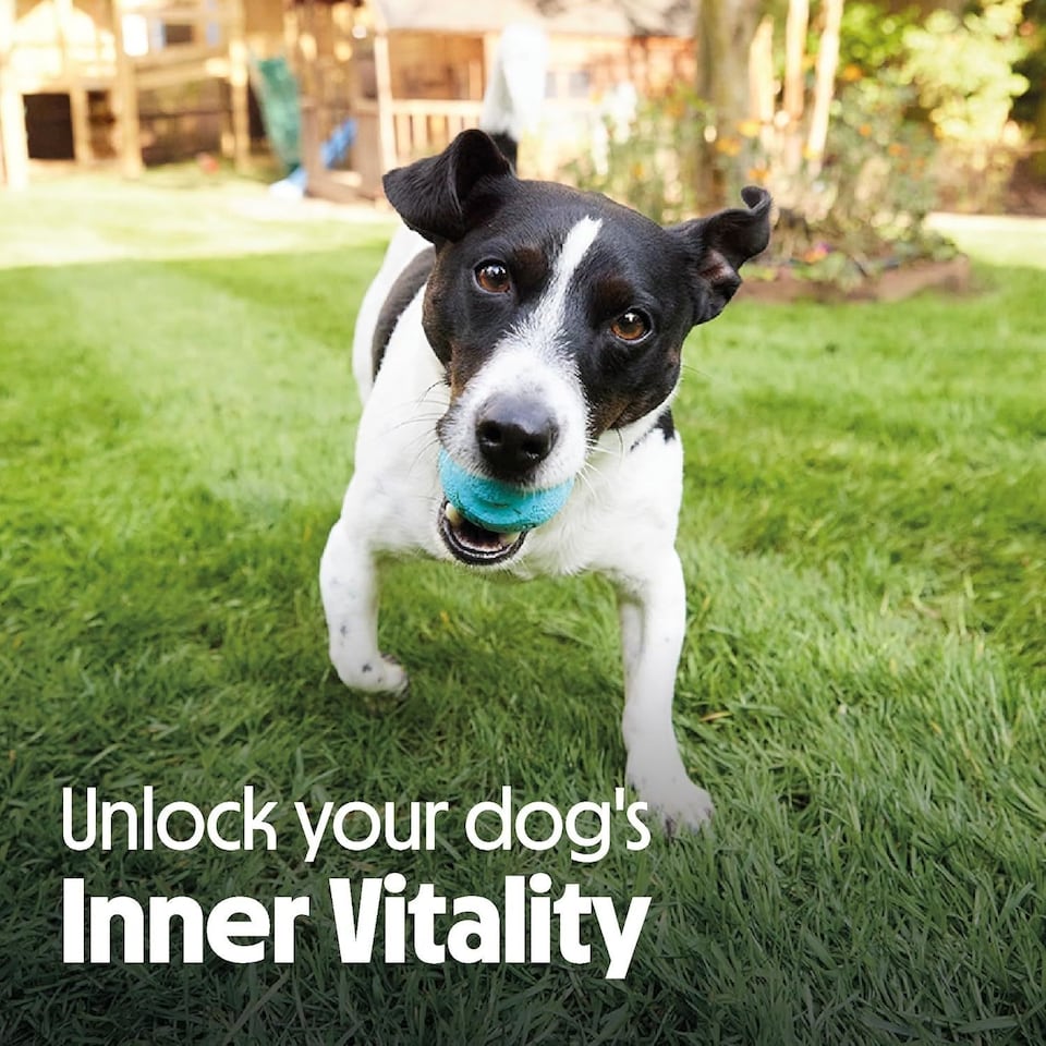 image 1 of 2kg Tails.com Inner Vitality Toy & Small Adult Dry Dog Food Kibble Chicken