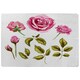 image 1 of Roses & Leaves (Rug) Pink | Large: 140x200cm