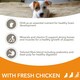 image 4 of IAMS Complete Dry Dog Food for Puppy Small and Medium Breeds with Chicken 12 kg