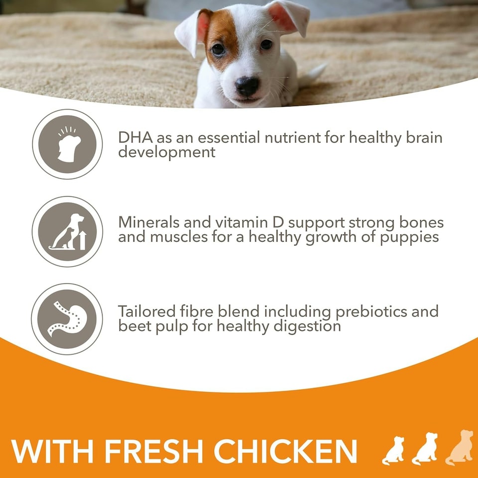 image 1 of IAMS Complete Dry Dog Food for Puppy Small and Medium Breeds with Chicken 12 kg