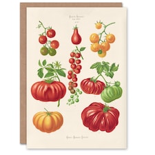 Ernst Benary Art Card Tomatoes or Love Apples Vintage Botanical