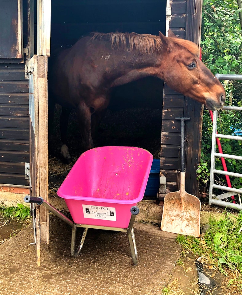 image 1 of Big Mucker 100 L/120 kg Wheelbarrow, Deep Plastic Pan with Puncture-Proof Wheel, Pink