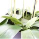 image 5 of Large Pink Artificial Orchid Plant Artifcial 41 REAL TOUCH flowers Botanik