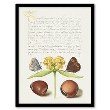 Moths Jerusalem Sage and Beans Calligraphy Framed Wall Art Print 12X16"
