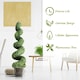 image 4 of COSTWAY 120cm Artificial Boxwood Spiral Tree Greenery Tree Green | One Size
