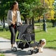 image 2 of PawHut Pet Stroller Carrier Foldable Deluxe Walk Travel Dog Dark Grey