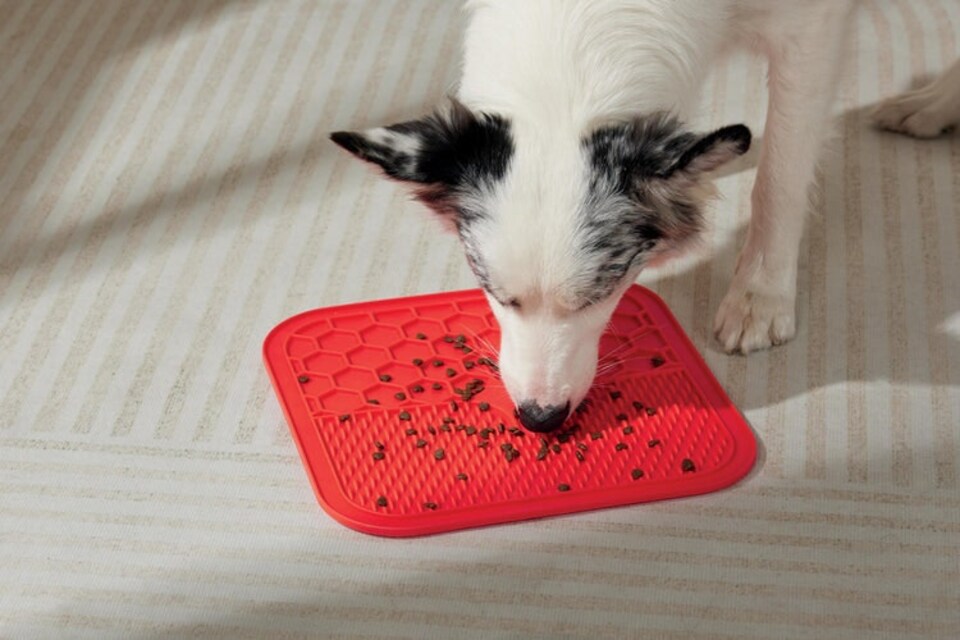 image 1 of M-PETS LECCA Mat Red L