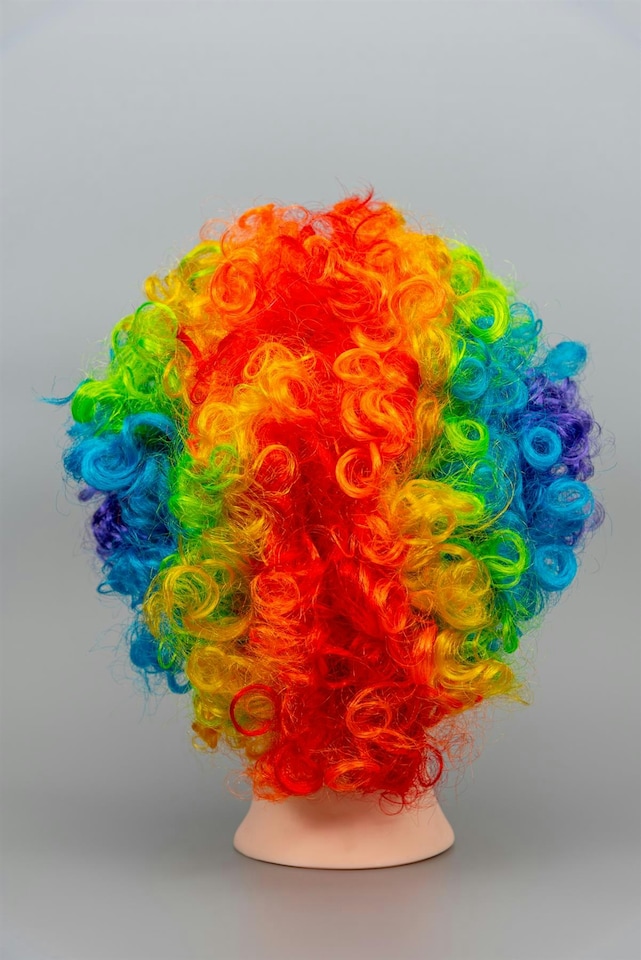 image 1 of Afro Wigs Curly Bouncy Hair Fancy Dress Party Costume Disco Accessory Unisex 60s 70S 80s Theme | Multi