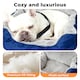 image 4 of Skylos Dog Car Seat Bed Pet Booster Travel Carrier with Safety Leash | Blue | Blue | 1