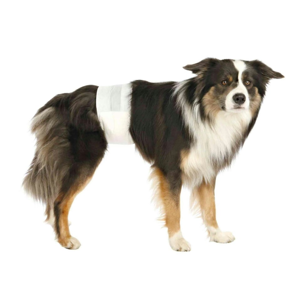 image 1 of Trixie Disposable Male Dog Diapers - M-L