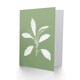 image 2 of White Green Exotic Leaves Just To Say Blank Art Card