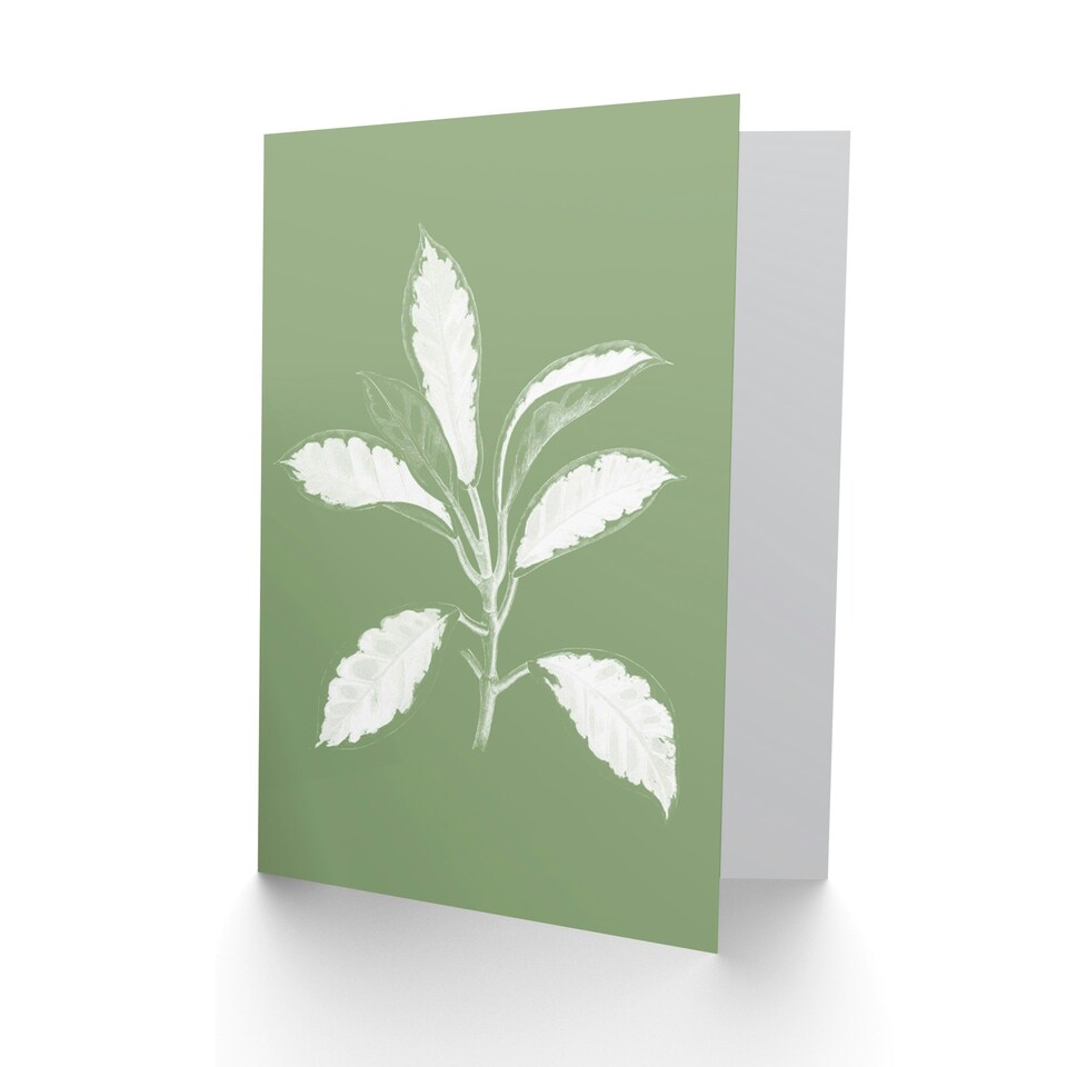 image 1 of White Green Exotic Leaves Just To Say Blank Art Card