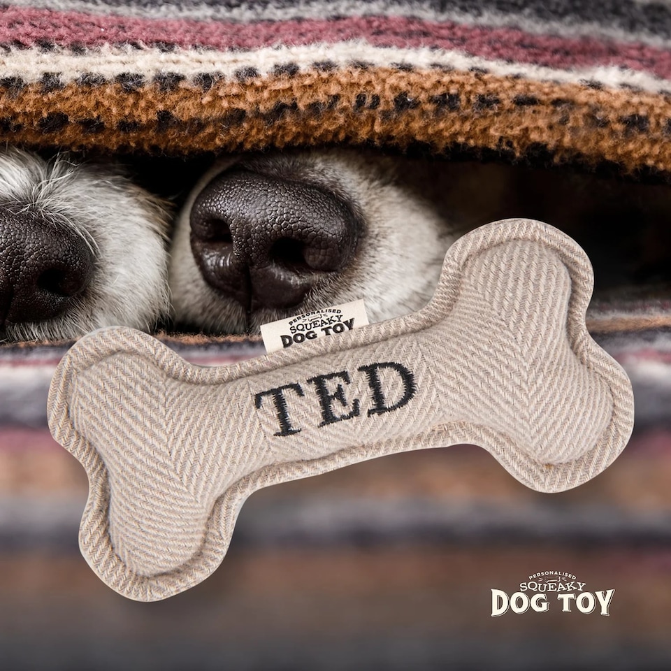 image 1 of History & Heraldry Pre-Personalised Squeaky Bone Dog Toy - Ted