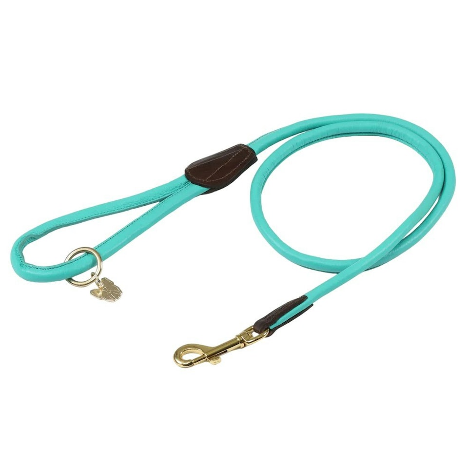 Digby & Fox Rolled Leather Dog Lead - Teal - One Size