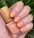 image 6 of Earthy Nail Polish In Bloom Collection 4x11ml