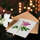image 4 of Pierre-Joseph Redouté Art Card Agatha Rose Vintage Floral