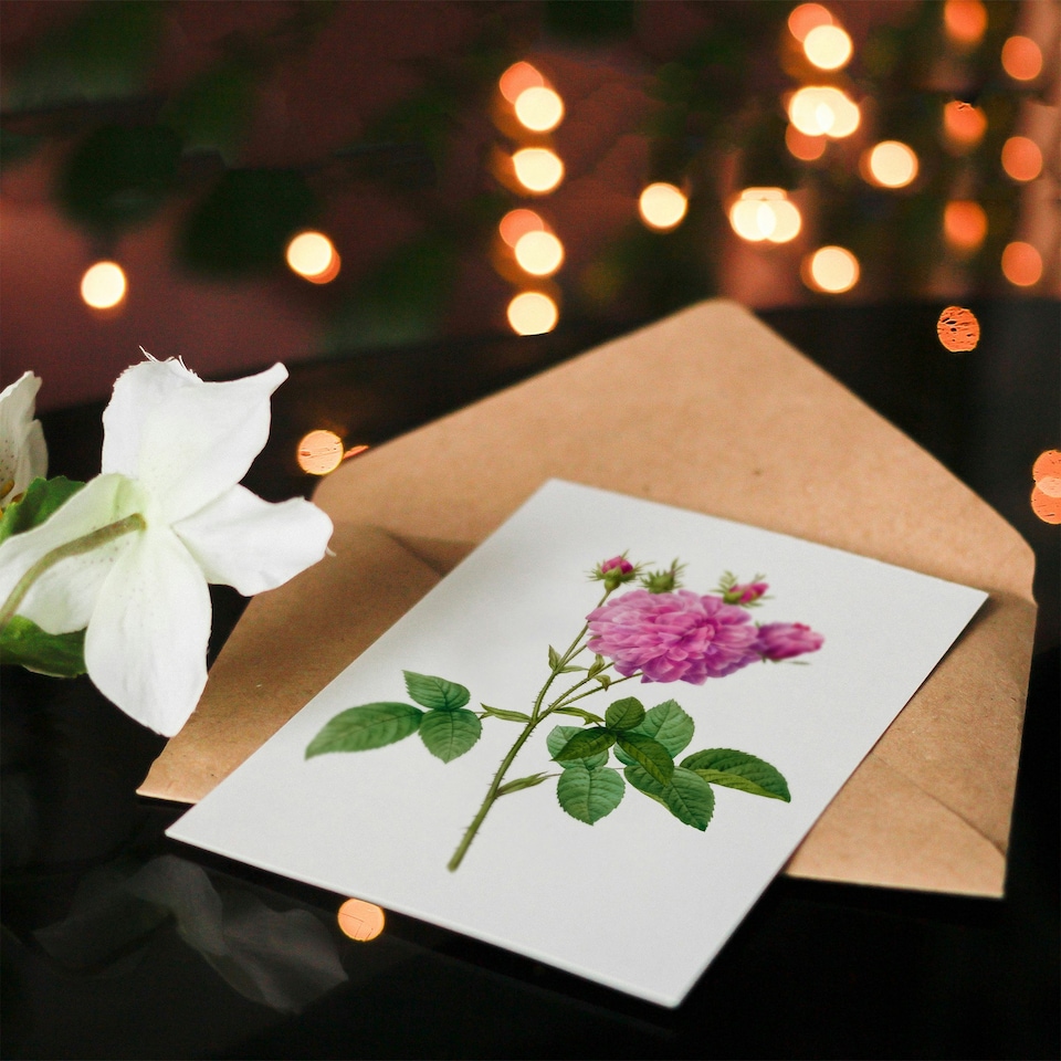 image 1 of Pierre-Joseph Redouté Art Card Agatha Rose Vintage Floral