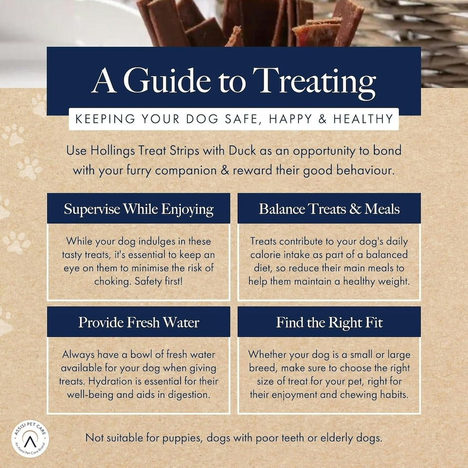 image 1 of Hollings Treat Strips with Duck Dog Training Treats, 100% Natural, Air Dried Duck Strips for Adult Dogs, Gluten Free & High in Protein (100g)