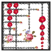 Roses & chains (Picture Frame) Black | S