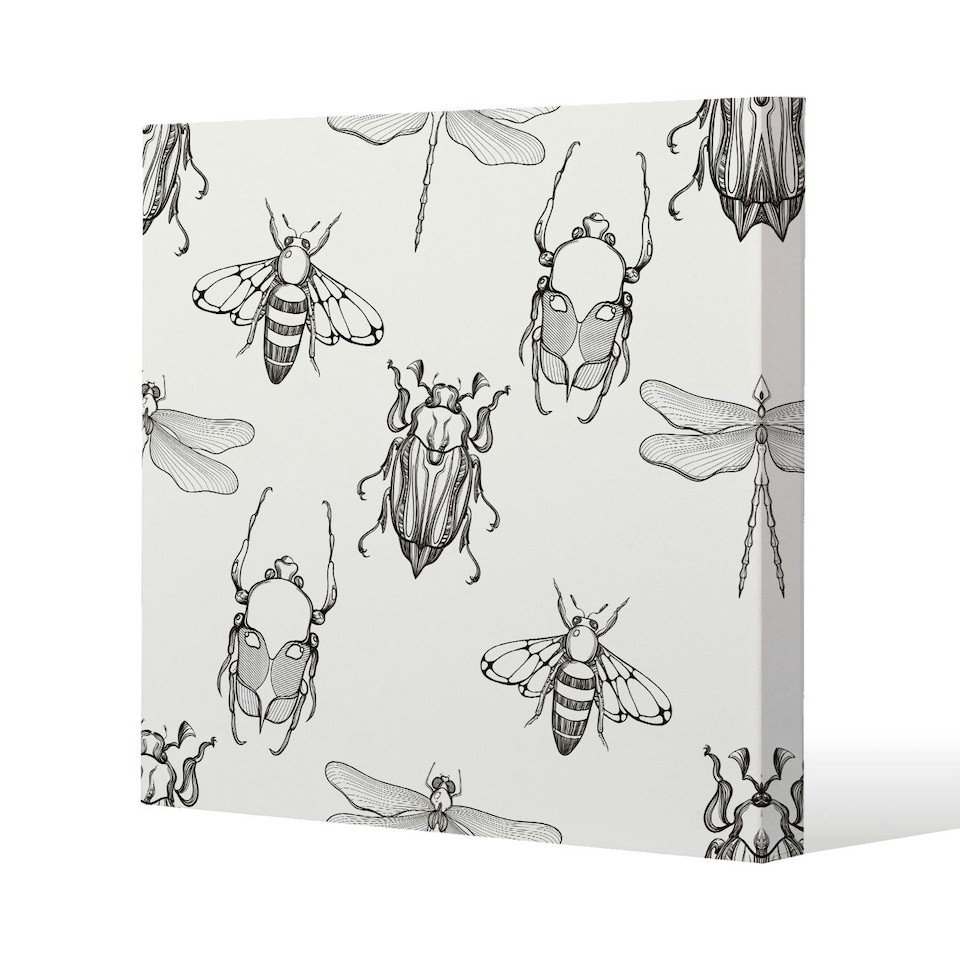 image 1 of Sketch of Scarab Beetle, May bug, Bee and Dragonfly (Canvas Print) 127 x 127 x 4cm