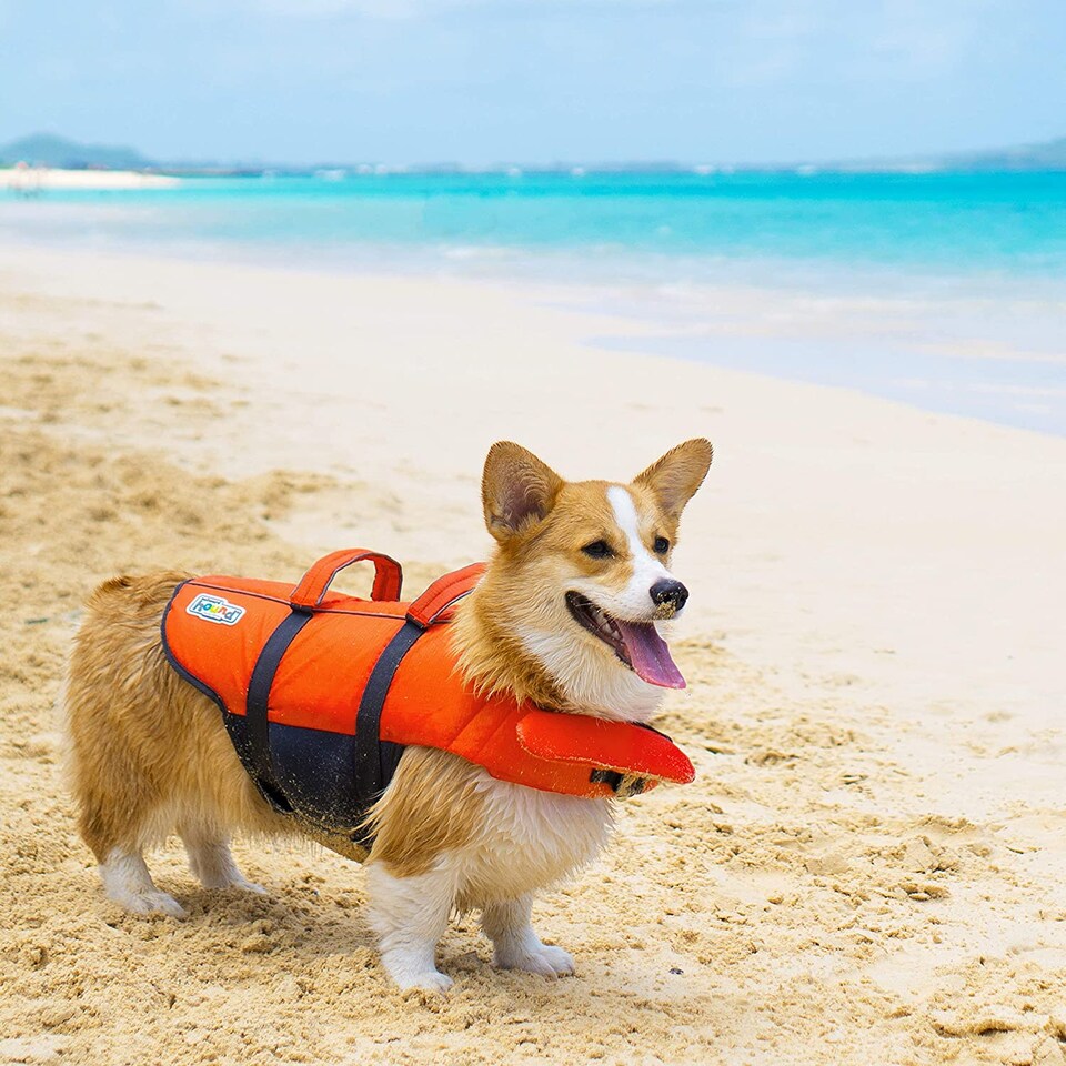 image 1 of Outward Hound Granby Splash Dog Life Jacket – High Visibility Reflective Float Coat with Easy Grab Handles, Adjustable Pet Swimming Buoyancy Harness