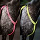 image 1 of Shires Equi-Flector® Breastplate Orange | Size: Pony/Cob
Colour: Orange