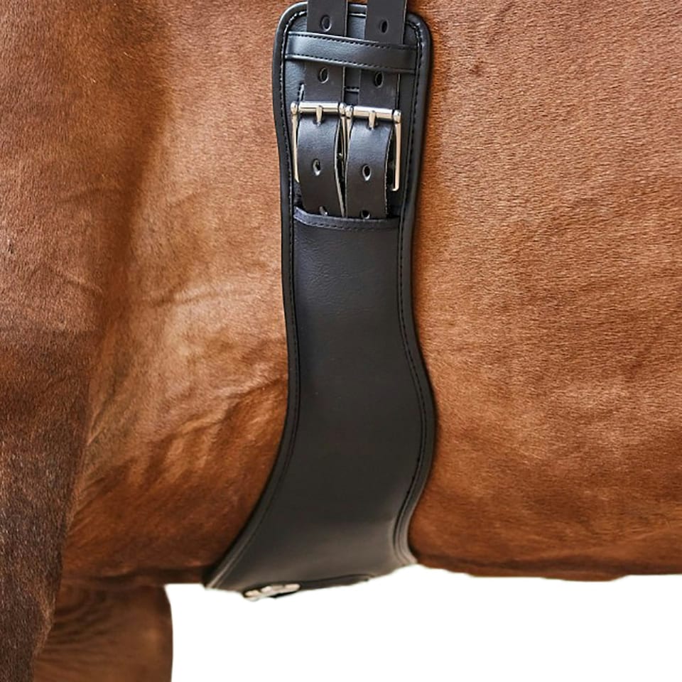 image 1 of Collegiate Anatomic Girth - Black - 100cm/40in