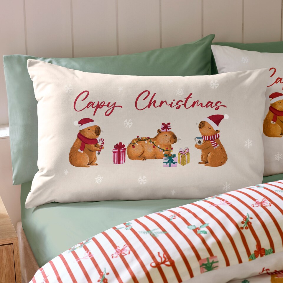 image 1 of Catherine Lansfield Capybara Christmas Reversible Duvet Cover Set
