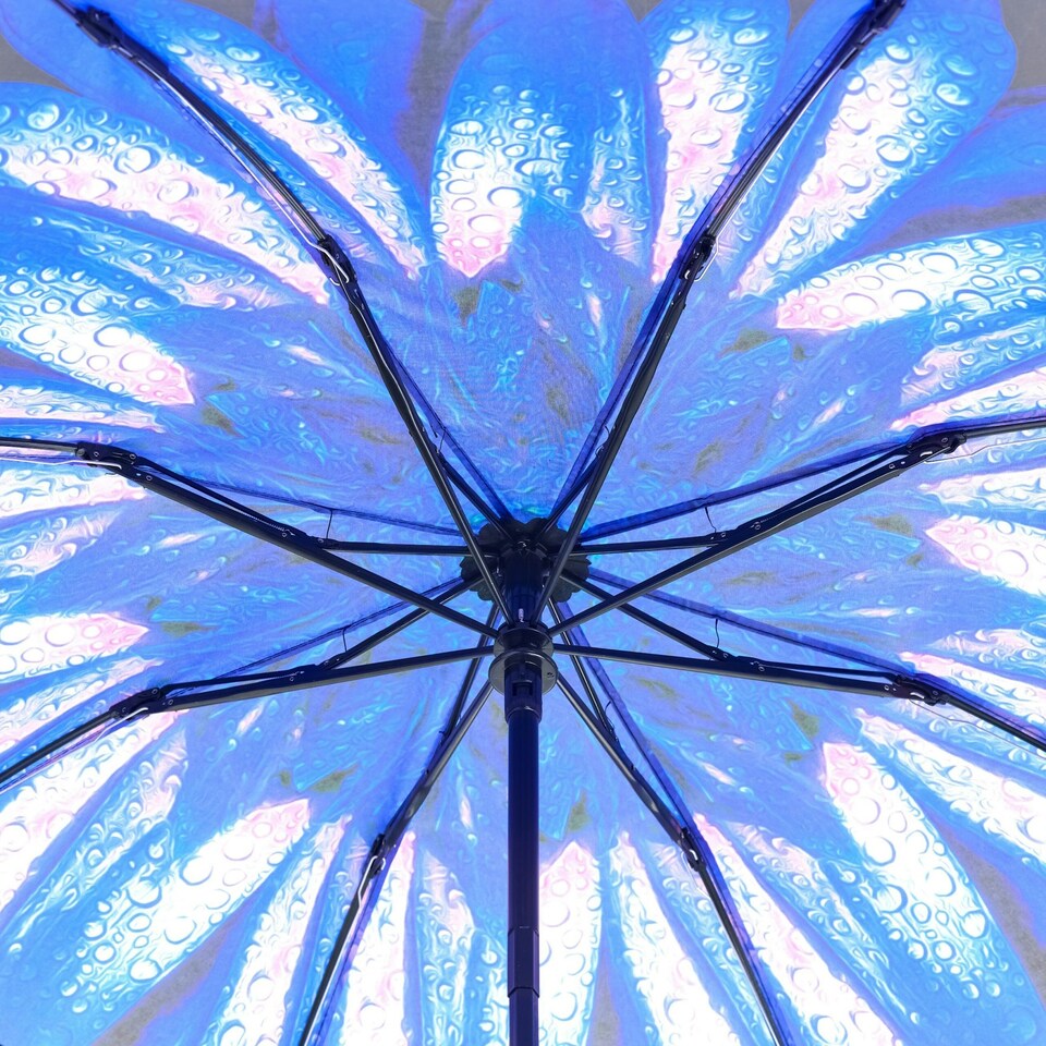image 1 of Everyday Folding Umbrella Automatic Opening Reverse Daisy Multi