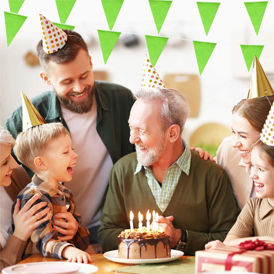 image 1 of Lime Green Colour Party Bunting 10m with 20 Pennants