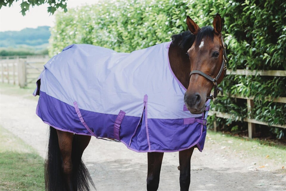 image 1 of eQuitack 600D Waterproof Horse Turnout Rug 50g Fill Regular Neck Lavender/Purple 5'6''
