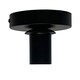 image 1 of Cynthia - Black Ceiling Flush Mount Ceiling Light for Easy Fit Shades