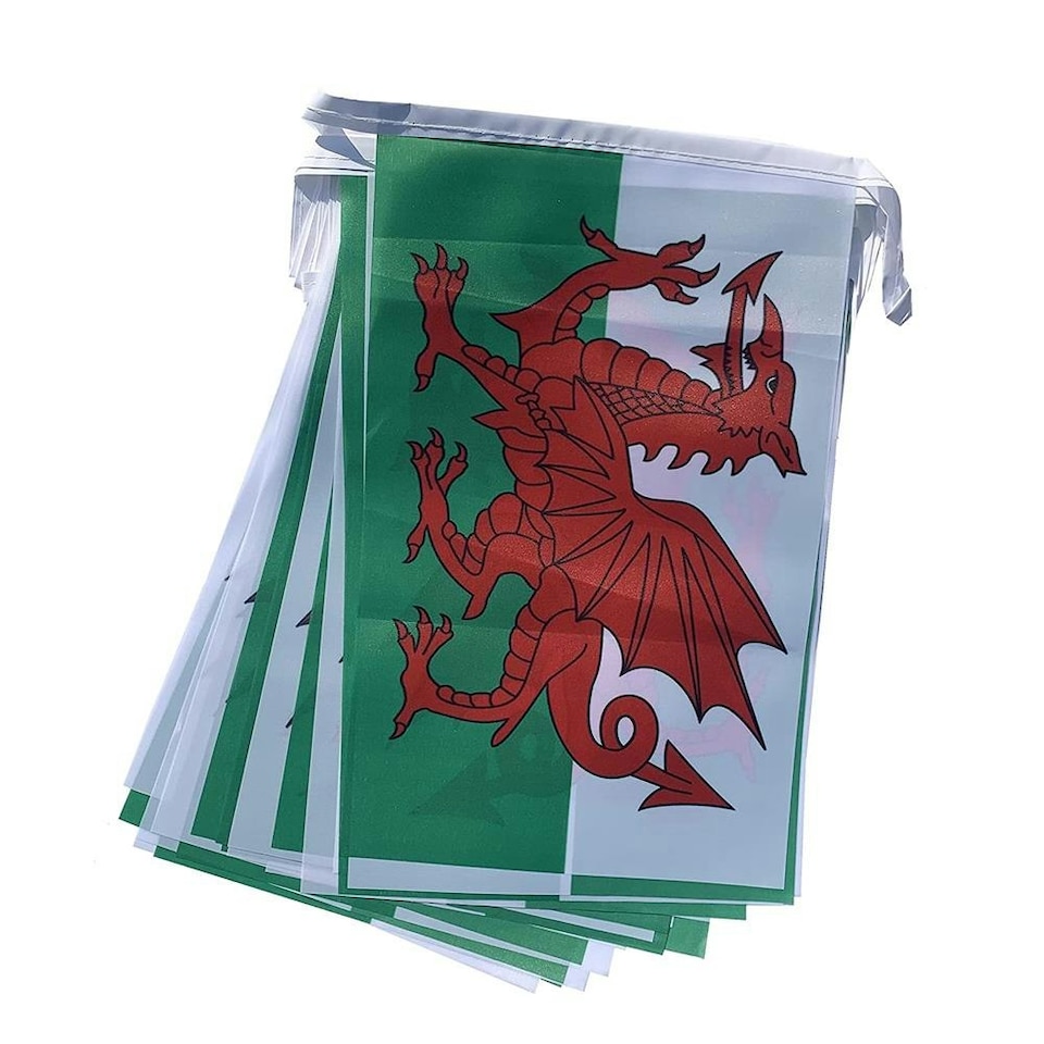 image 1 of Wales Flag Party Bunting 10m with 20 Flags