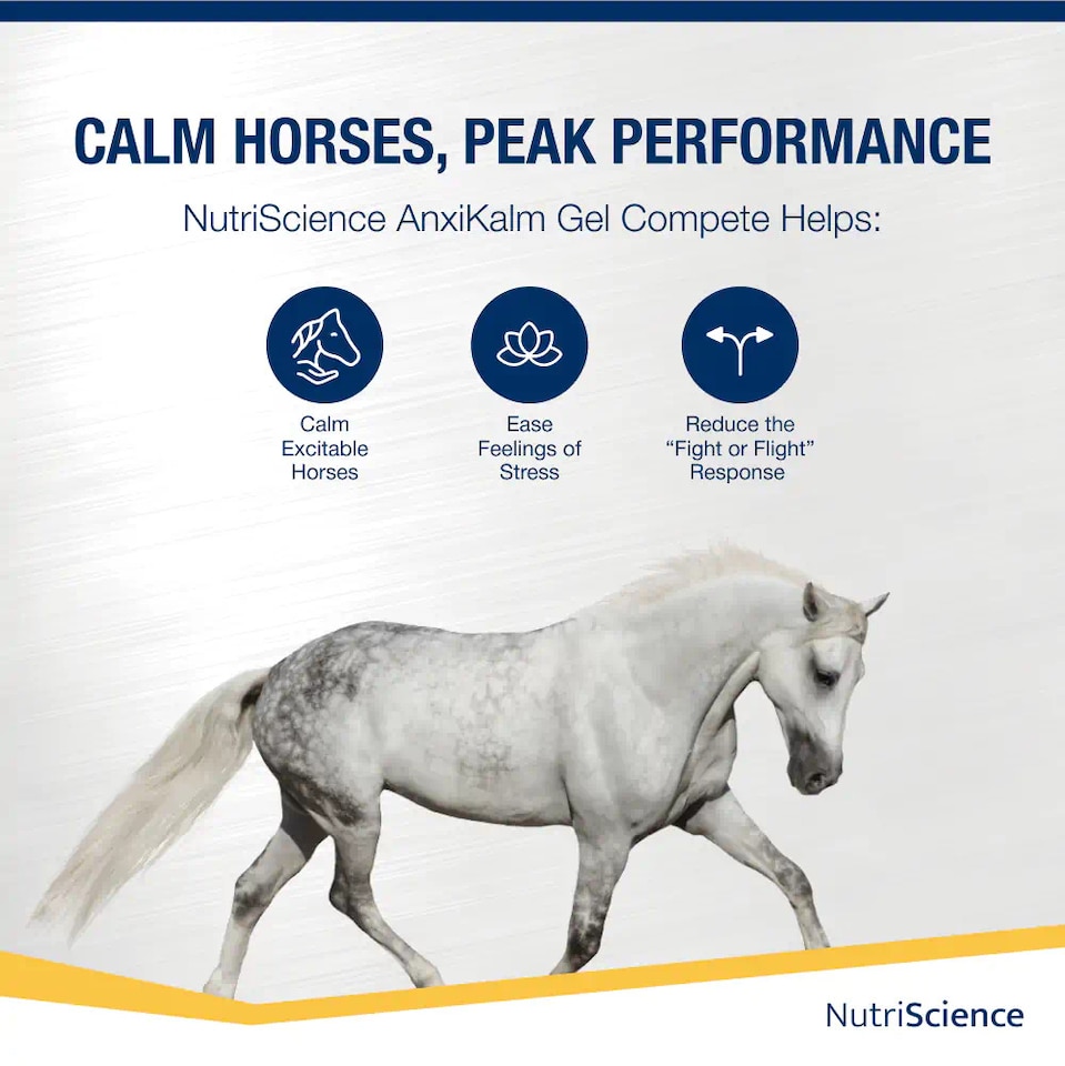image 1 of NutriScience AnxiKalm Horse Calming Gel L Tryptophan Stress Relief Competition Supplement