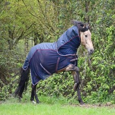 Rhinegold Mombasa Fly Rug + Neck Cover Blue | Size: 6ft 3
Colour: Navy Blue