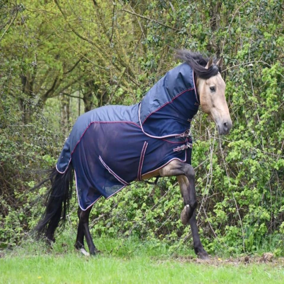 image 1 of Rhinegold Mombasa Fly Rug + Neck Cover Blue | Size: 6ft 3
Colour: Navy Blue