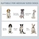 image 8 of PawHut Dog Feeding Station with Storage, Pet Feeding Station with Dog Bowls White | 80H x 60W x 35D cm
