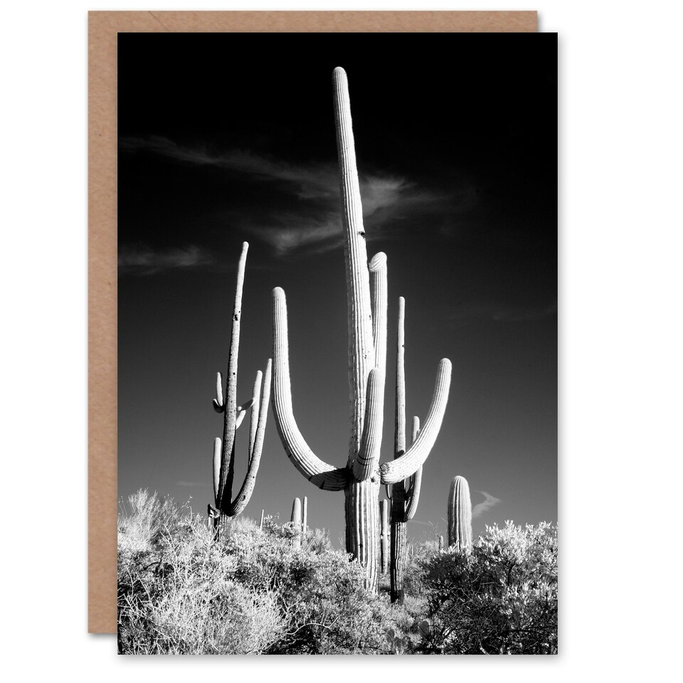 image 1 of Carol M Highsmith Art Card Saguaro Cactus Black White Photograph