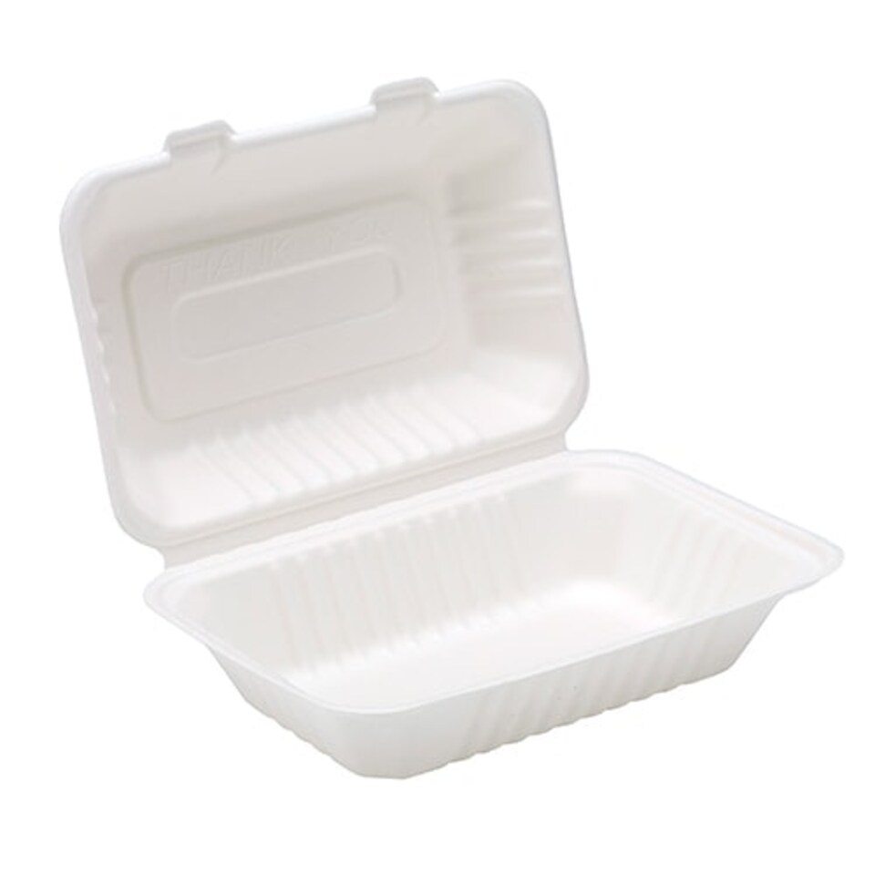 White Compostable Bagasse Takeaway Lunch Box 23cm - Pack of 125