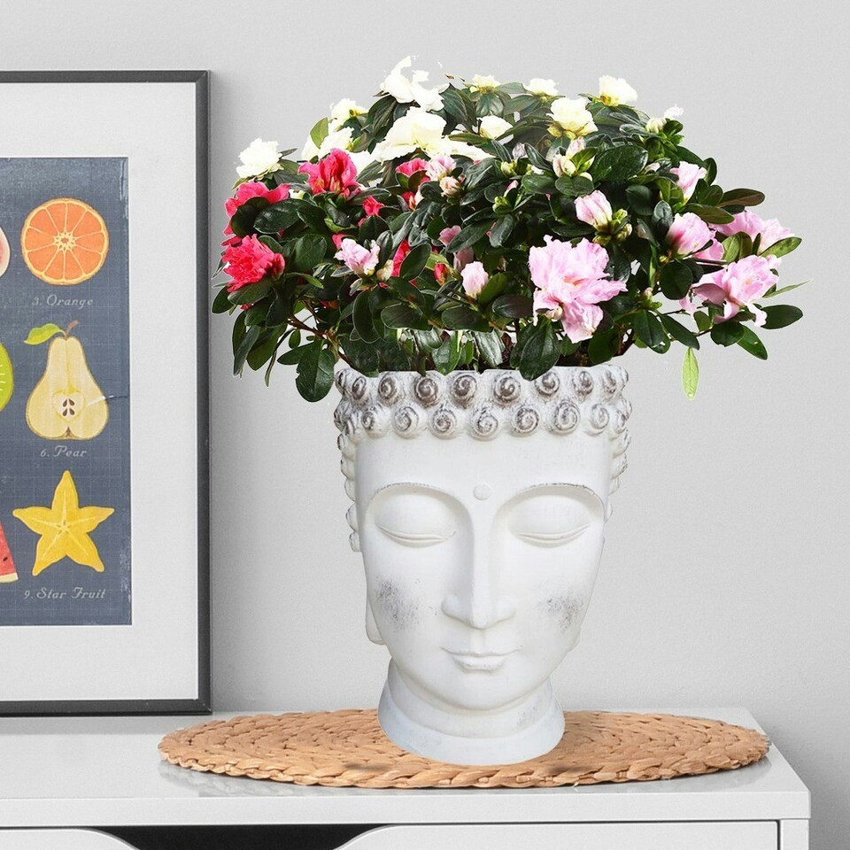 image 1 of White Oval Face Planter Head Buddha Plant Pot Indoor Pot Cover L19 W18 H24 cm, 2.6 ltrs Cap.