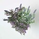 image 2 of Homescapes Set of 3 Purple Lavender Spray Single Stems