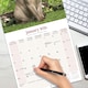 image 5 of Burmese Cats 2026 Calendar | Square Wall Calendar | Cat Gift | Plastic Free Packaging | by Avonside Publishing