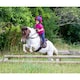 image 3 of Aviemore Leather Pony Saddle Pad | Multi | Havana | One Size | 1