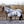 Grey/Silver