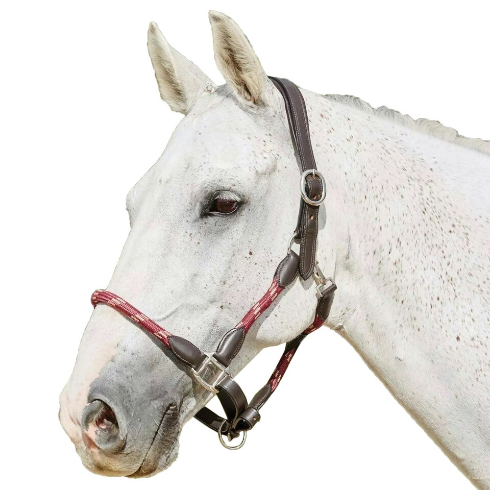 Kincade Braided Leather Horse Headcollar - Maroon - Cob
