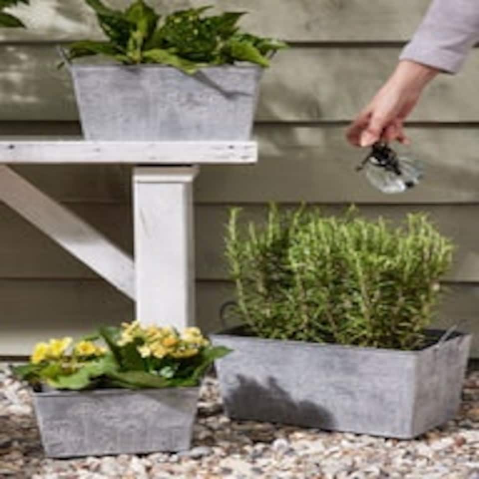 image 1 of Set of 3 Floral Embossed Planters Grey